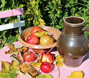 récolter-pommes-octobre