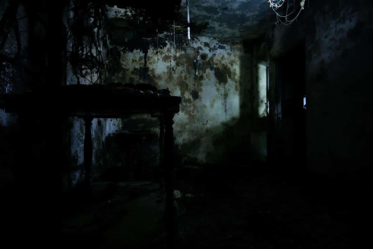 Taux d'humidité de ma maison à 70% : que faire ?