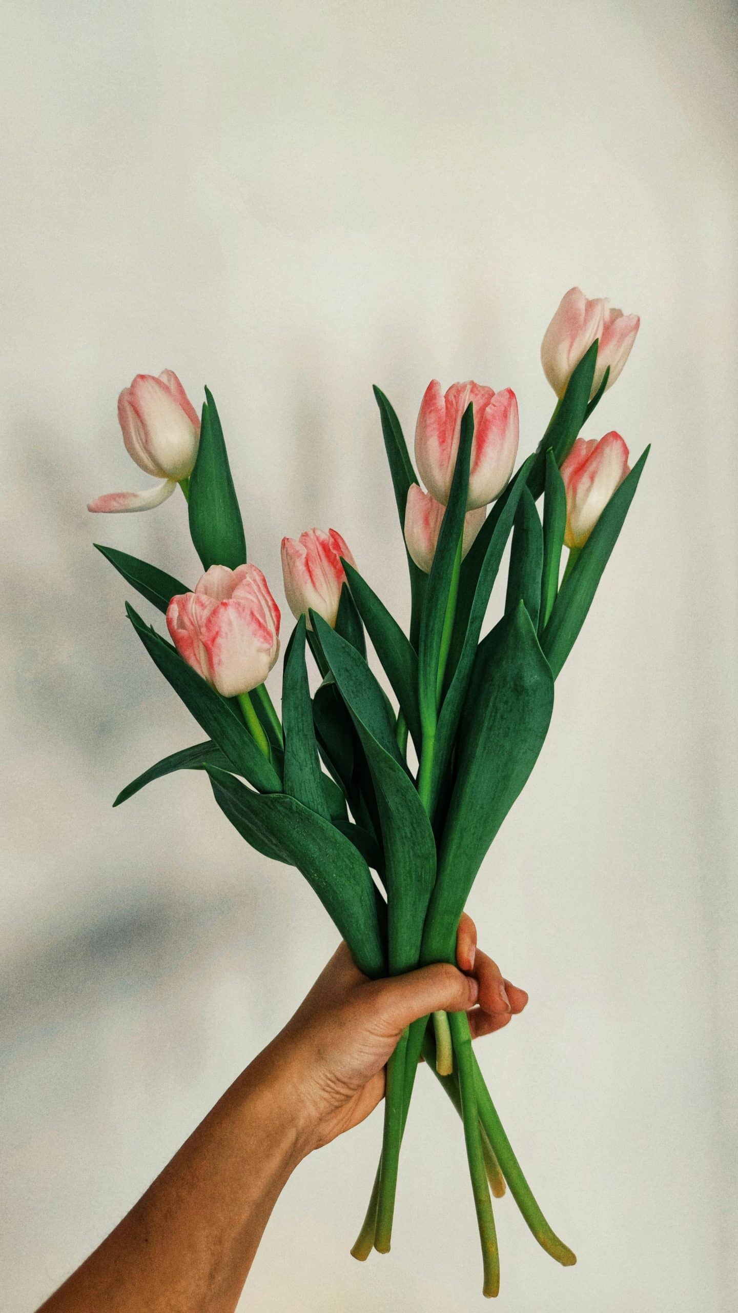 jardin bouquetier nos conseils pour cultiver ses propres fleurs